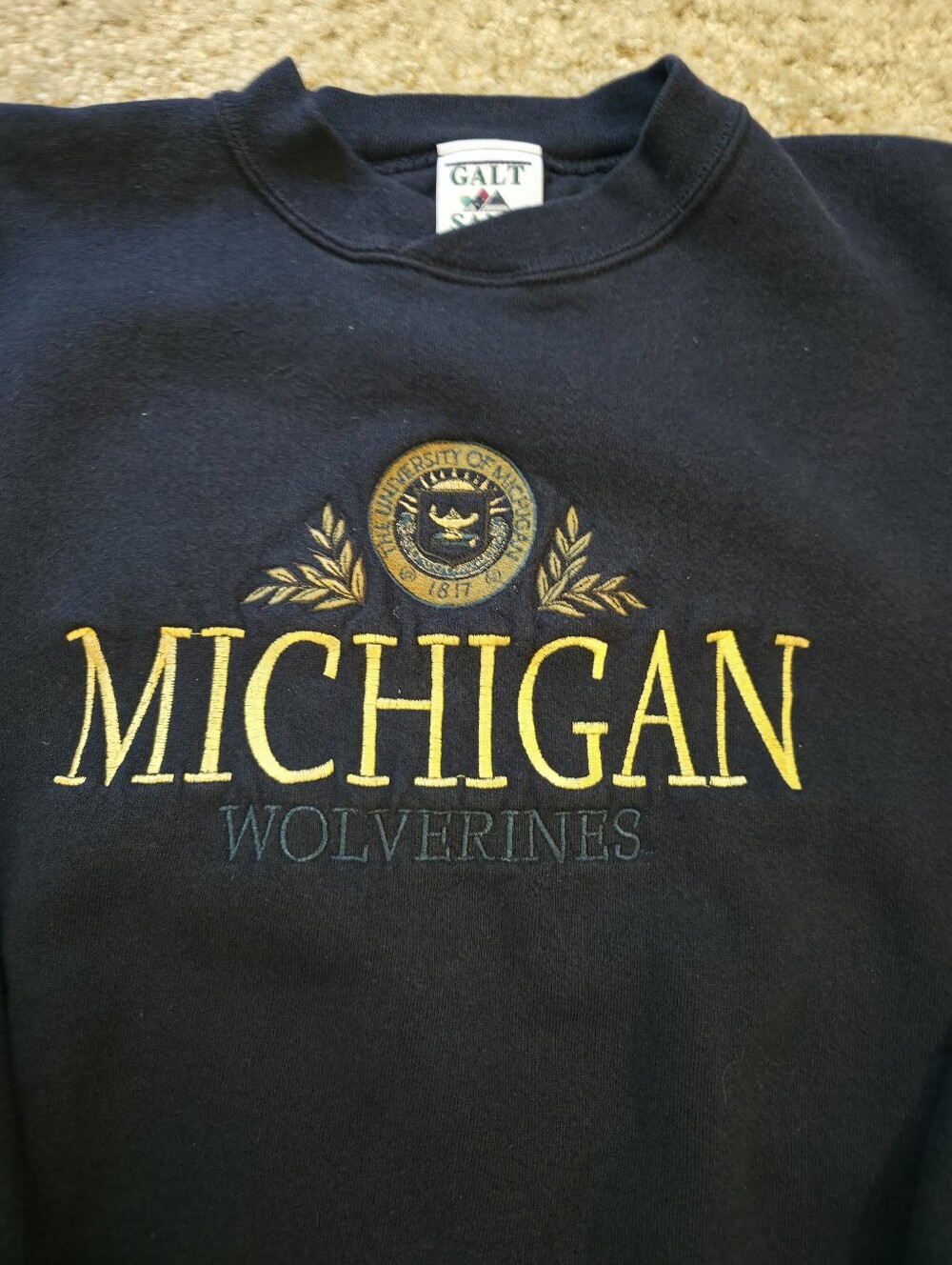 Michigan Wolverines - Picture 2 of 4